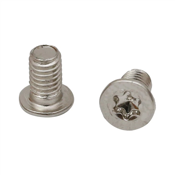 Small flat head micro torx ss screw