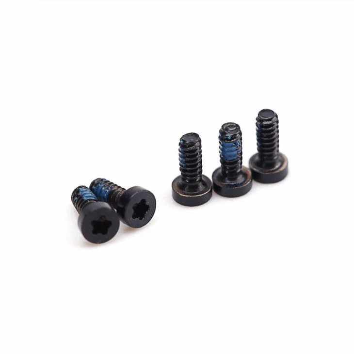 Micro High Precision Torx Screw