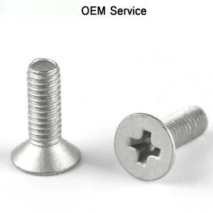 Flat Head Phillips Silver Screw
