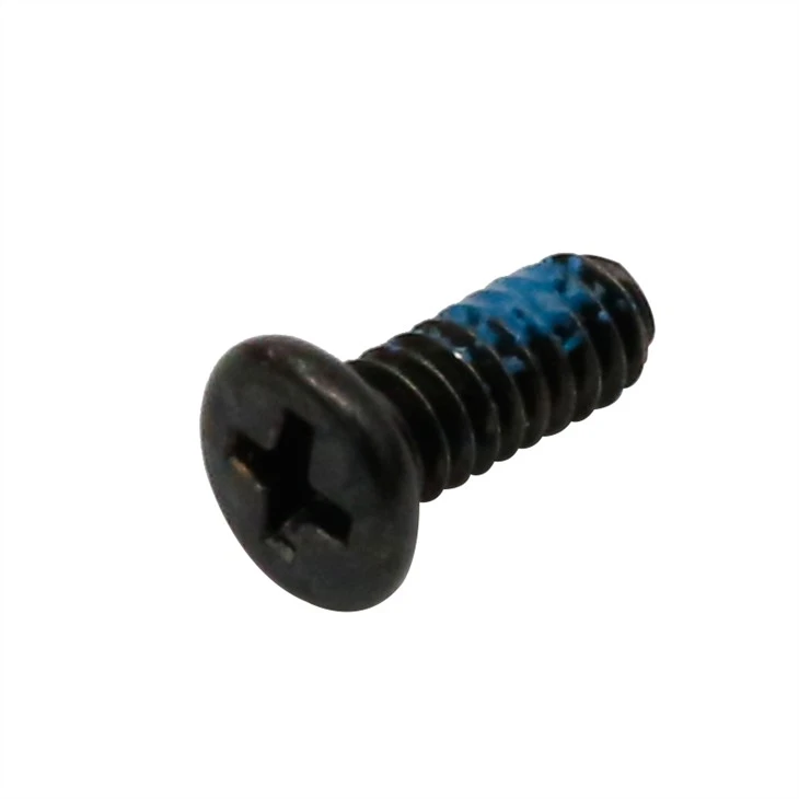 Small black cross recessed screw